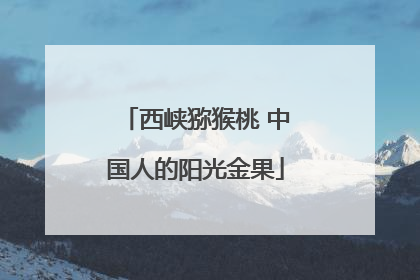 西峡猕猴桃 中国人的阳光金果