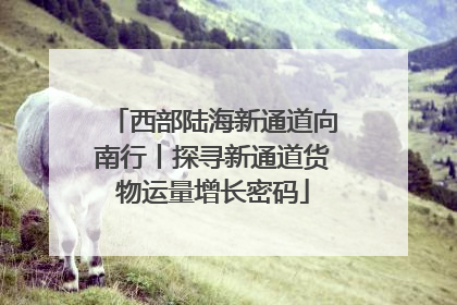 西部陆海新通道向南行丨探寻新通道货物运量增长密码