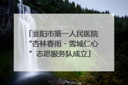 襄阳市第一人民医院“杏林春雨・雪域仁心”志愿服务队成立