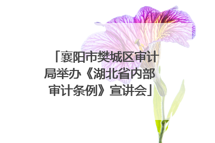 襄阳市樊城区审计局举办《湖北省内部审计条例》宣讲会