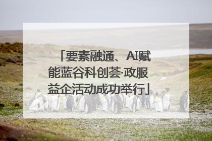 要素融通、AI赋能蓝谷科创荟·政服益企活动成功举行