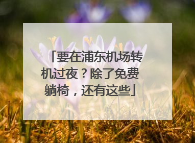 要在浦东机场转机过夜？除了免费躺椅，还有这些