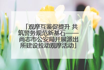 观摩互鉴促提升 共筑警务规范新基石——尚志市公安局开展派出所建设拉动观摩活动