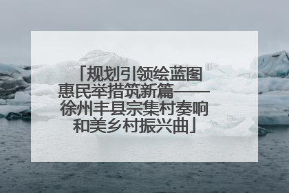 规划引领绘蓝图 惠民举措筑新篇——徐州丰县宗集村奏响和美乡村振兴曲