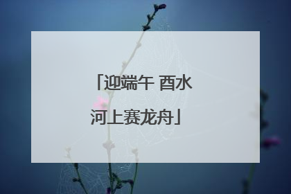 迎端午 酉水河上赛龙舟