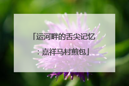 运河畔的舌尖记忆：嘉祥马村煎包