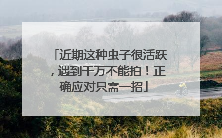 近期这种虫子很活跃，遇到千万不能拍！正确应对只需一招