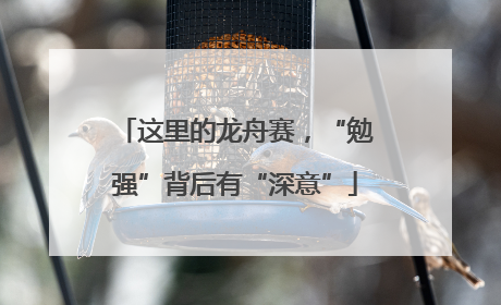 这里的龙舟赛，“勉强”背后有“深意”