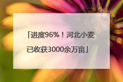 进度96%！河北小麦已收获3000余万亩