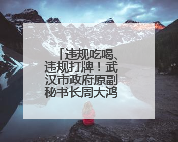 违规吃喝、违规打牌！武汉市政府原副秘书长周大鸿被“双开”