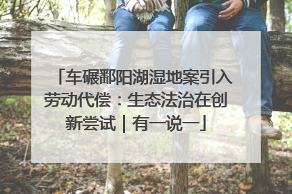 车碾鄱阳湖湿地案引入劳动代偿：生态法治在创新尝试｜有一说一