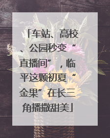 车站、高校、公园秒变“直播间”，临平这颗初夏“金果”在长三角播撒甜美