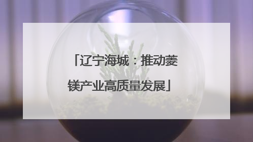 辽宁海城：推动菱镁产业高质量发展