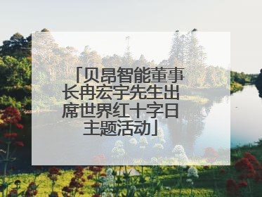 贝昂智能董事长冉宏宇先生出席世界红十字日主题活动
