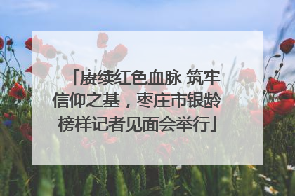 赓续红色血脉 筑牢信仰之基，枣庄市银龄榜样记者见面会举行