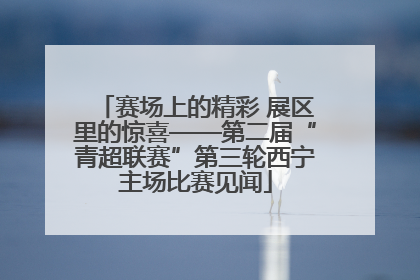 赛场上的精彩 展区里的惊喜——第二届“青超联赛”第三轮西宁主场比赛见闻