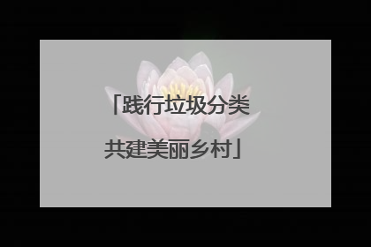 践行垃圾分类 共建美丽乡村
