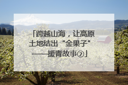 跨越山海，让高原土地结出“金果子”——援青故事②