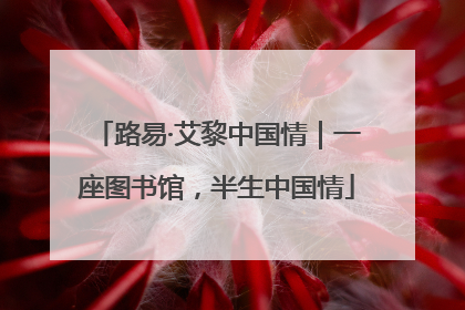 路易·艾黎中国情｜一座图书馆，半生中国情