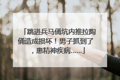 跳进兵马俑坑内推拉陶俑造成损坏！男子抓到了，患精神疾病……