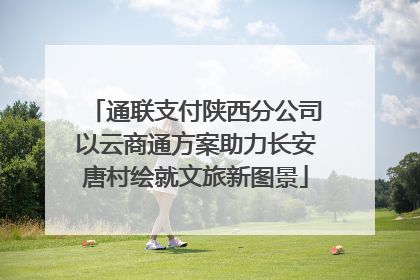 通联支付陕西分公司以云商通方案助力长安唐村绘就文旅新图景