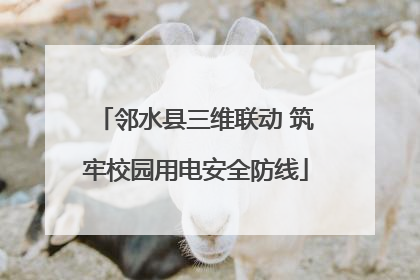 邻水县三维联动 筑牢校园用电安全防线