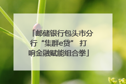 邮储银行包头市分行“集群e贷” 打响金融赋能组合拳