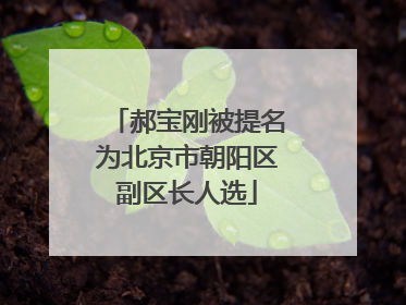 郝宝刚被提名为北京市朝阳区副区长人选