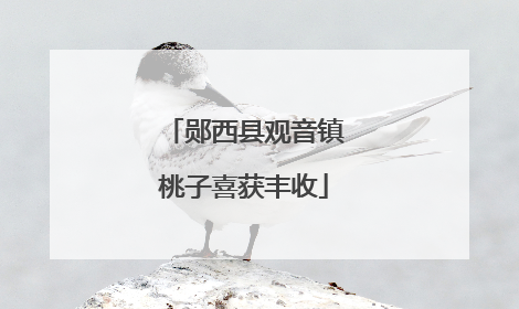 郧西县观音镇桃子喜获丰收