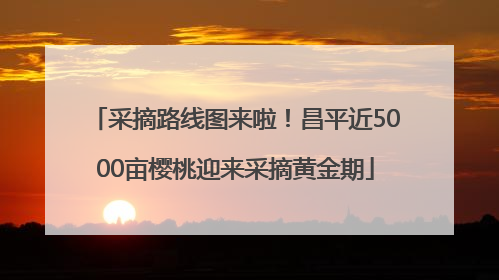 采摘路线图来啦！昌平近5000亩樱桃迎来采摘黄金期
