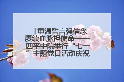 重温誓言强信念 赓续血脉担使命——四平中院举行“七一”主题党日活动庆祝建党104周年