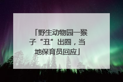 野生动物园一猴子“丑”出圈，当地保育员回应