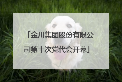 金川集团股份有限公司第十次党代会开幕