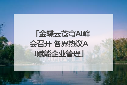 金蝶云苍穹AI峰会召开 各界热议AI赋能企业管理