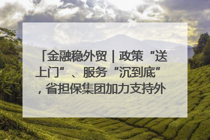 金融稳外贸｜政策“送上门”、服务“沉到底”，省担保集团加力支持外经贸高质量发展