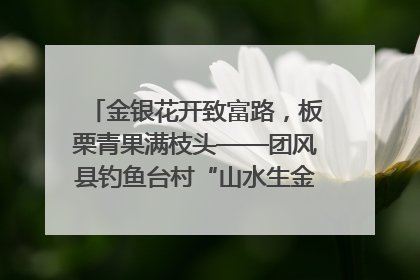 金银花开致富路，板栗青果满枝头——团风县钓鱼台村“山水生金”谱写共富新篇章