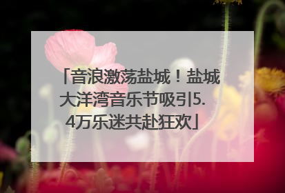 音浪激荡盐城！盐城大洋湾音乐节吸引5.4万乐迷共赴狂欢