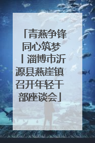 青燕争锋 同心筑梦丨淄博市沂源县燕崖镇召开年轻干部座谈会
