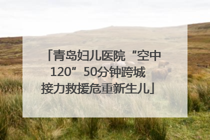 青岛妇儿医院“空中120”50分钟跨城接力救援危重新生儿