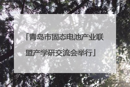 青岛市固态电池产业联盟产学研交流会举行