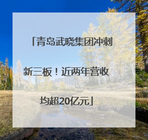 青岛武晓集团冲刺新三板！近两年营收均超20亿元