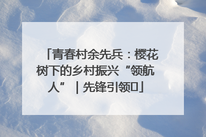 青春村余先兵：樱花树下的乡村振兴“领航人”｜先锋引领⑪
