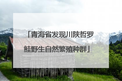 青海省发现川陕哲罗鲑野生自然繁殖种群