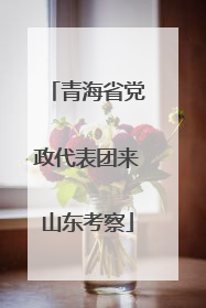 青海省党政代表团来山东考察