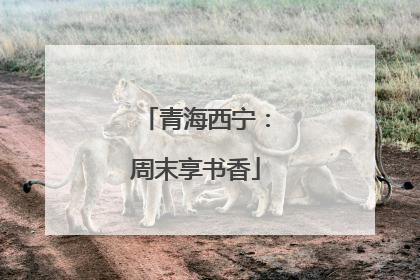 青海西宁：周末享书香