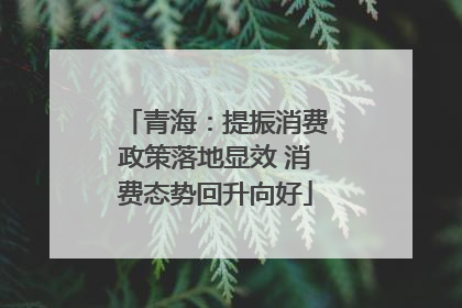 青海：提振消费政策落地显效 消费态势回升向好