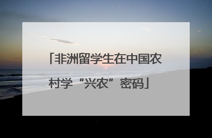 非洲留学生在中国农村学“兴农”密码