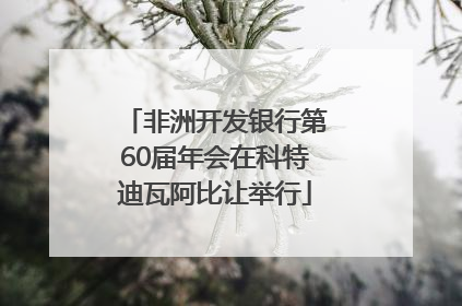 非洲开发银行第60届年会在科特迪瓦阿比让举行