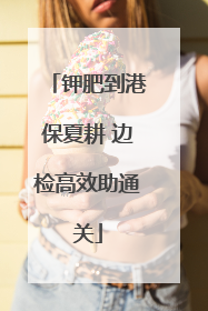 钾肥到港保夏耕 边检高效助通关