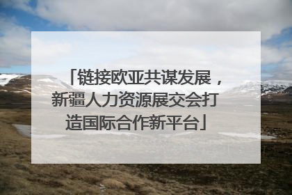 链接欧亚共谋发展，新疆人力资源展交会打造国际合作新平台